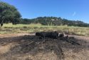 May 9, 2018, South Burson Road, Valley Springs