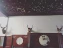 Old bills on Servente's ceiling during renovations May 2018