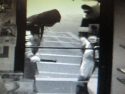 Burglars breaking into Cold Springs Market