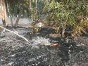 CAL Fire Dickenson Fire