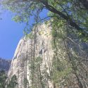 El Capitan in Yosemite