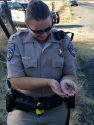 Officer Joelle McChesney with the baby bird in her palm