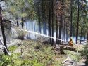 Vegetation and structure Fire Mariposa Dr. in Cold Springs
