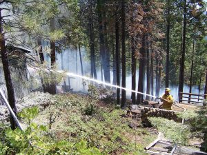 Vegetation and structure Fire Mariposa Dr. in Cold Springs