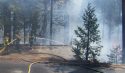 Vegetation and structure Fire Mariposa Dr. in Cold Springs