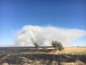 Waverly Fire