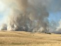 Waverly Fire