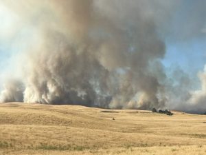 Waverly Fire
