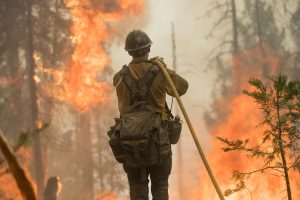 Ferguson Fire Grows To 53,646 Acres