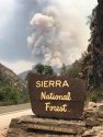 Ferguson Fire