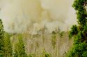 Ferguson Fire