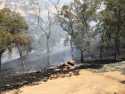 Fire near Lake Don Pedro