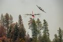 Lead plane with C-130 fighting Ferguson Fire
