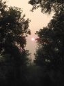 Sunrise In Tuolumne County