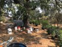 Chemicals found on property