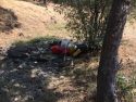 Chemicals found on property