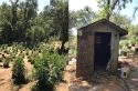 Raided illegal marijuana grow in Calaveras County