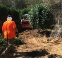 Raided illegal marijuana grow in Calaveras County