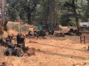 Processed marijuana found in illegal grow