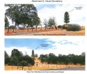 Pine tree camouflaged cell tower proposal
