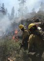 Donnell Fire