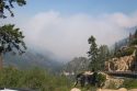 Donnell Fire