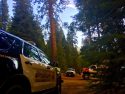 Donnell Fire Tuolumne County Sheriff Deputies evacuating areas