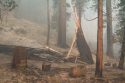Donnell Fire Impacts