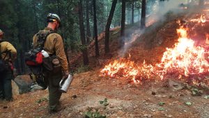 More Manpower And Equipment To Battle Wildfires