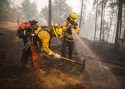 Ferguson-Fire-mop-up-by-Big-Oak-Flat-Road-Aug-8-2018