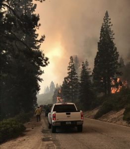 Donnell Fire in Stanislaus National Forest