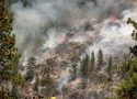 Donnell Fire