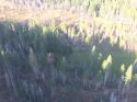 Sighting of downed plane receiving assistance by CAL Fire Copter 404 Aug 20 2018