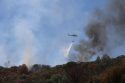 Parrotts Fire Attack