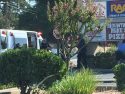 Motorcycle Vs Truck Crash In Sonora