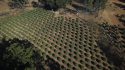 Calaveras County MEP Warrant Search images Sept 19 and 20 2018