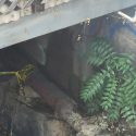 Scene of fire near Woods Creek Bridge