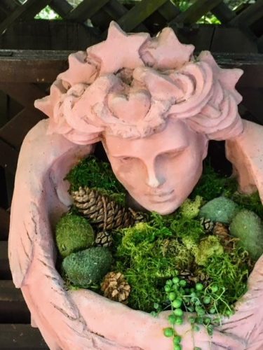 Rogers Garden Succulents