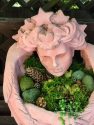 Rogers Garden Succulents