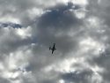 Stockton fire with aircraft flying over scene near HWY 108 in Sonora