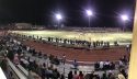 Summerville Bear's playing Pitman Pride