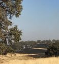 Tulloch Fire on Highway 108