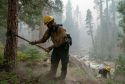 Working on Donnell Fire