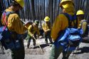 BAER team members from the National Park Service on Ferguson Fire burn scar