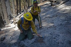 BAER team members from the National Park Service on Ferguson Fire burn scar