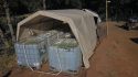 Highway 26 Glencoe Marijuana Grow Raid Oct 18 2018 CCSO Photo