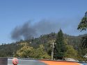 Quail Fire