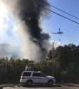 Quail Fire