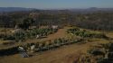 Illegal Grow in Mokelumne Hill