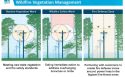 PGE Wildfire Management Graphic Oct 2018